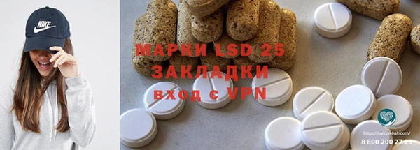 прущие грибы Нижневартовск