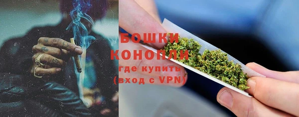 прущие грибы Нижневартовск