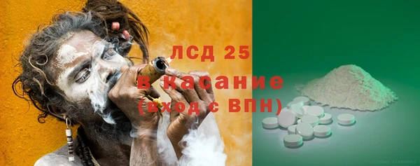 прущие грибы Нижневартовск