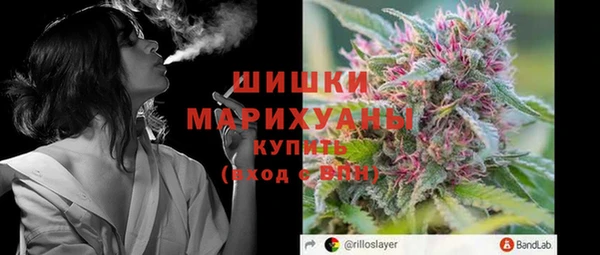 прущие грибы Нижневартовск
