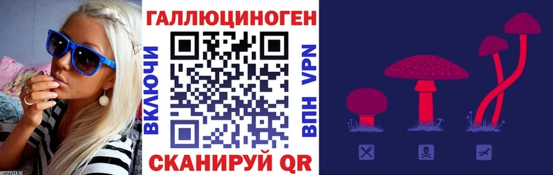 как найти   Алагир  Галлюциногенные грибы GOLDEN TEACHER 